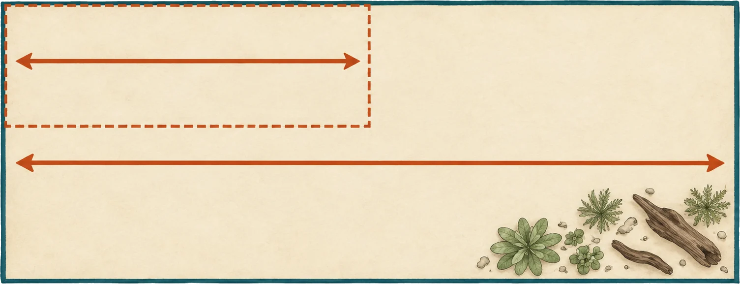 Overhead plan of a large aquarium base with a smaller dashed rectangle nested in its top-left corner at half the width, a short swimming arrow inside the small one and a long arrow spanning the large one
