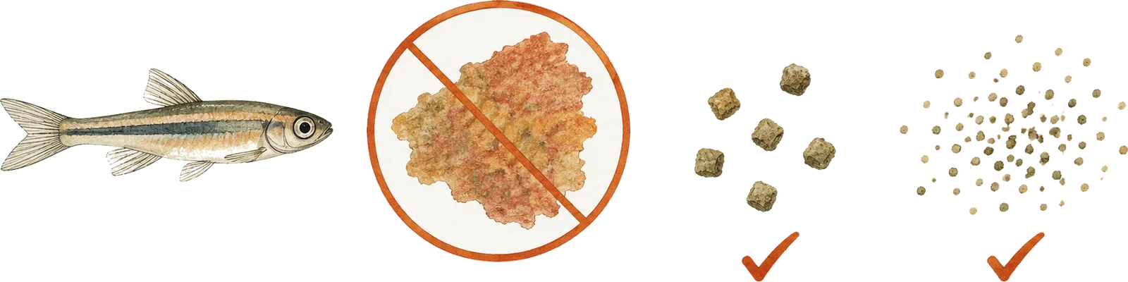 Diagram of a very small fish beside three food options at the same scale: an oversized flake struck through with a circle, a cluster of small granules marked with a tick, and a cloud of very fine particles also marked with a tick