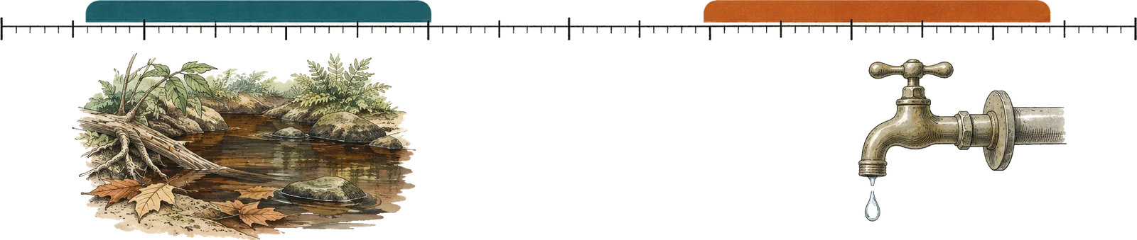 Diagram of a plain unnumbered scale bar with a deep teal band on the left above a tannin-stained leaf-littered stream and a rust orange band on the right above a dripping tap, with a clear gap of bare scale between them