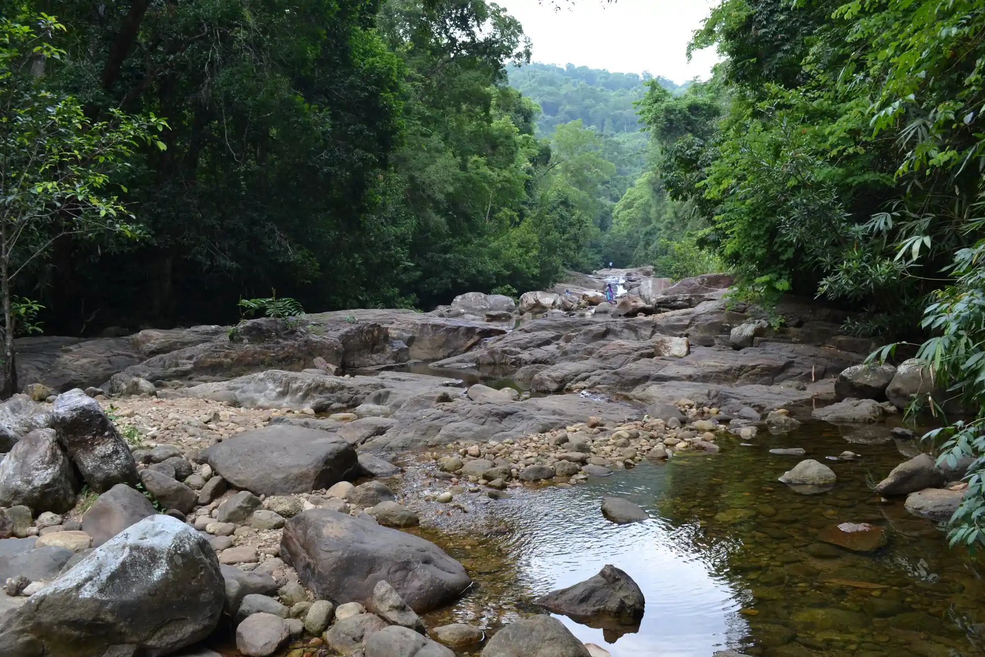 Rocky stream at Kallar in Kerala with a shallow open channel, forest shade and pools between rounded stones
