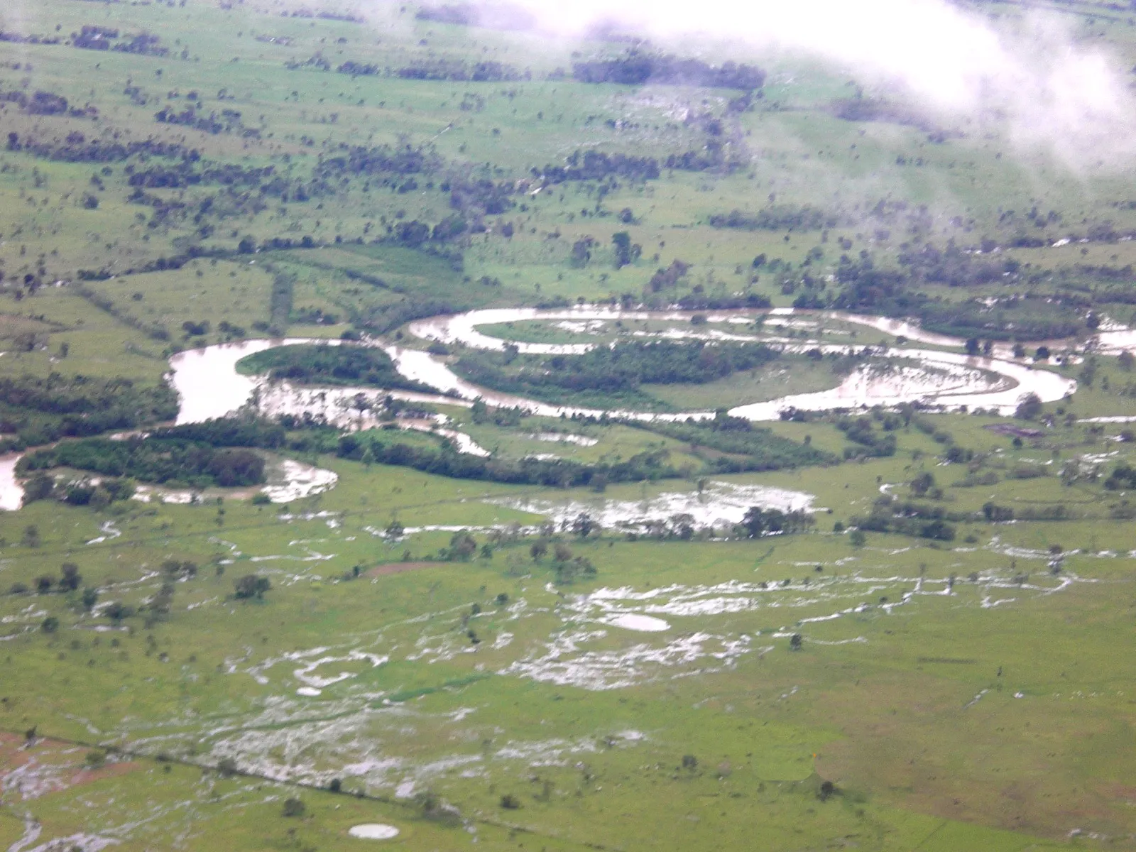 Broad Atrato River in Colombia with forested banks and brown moving water viewed from the river