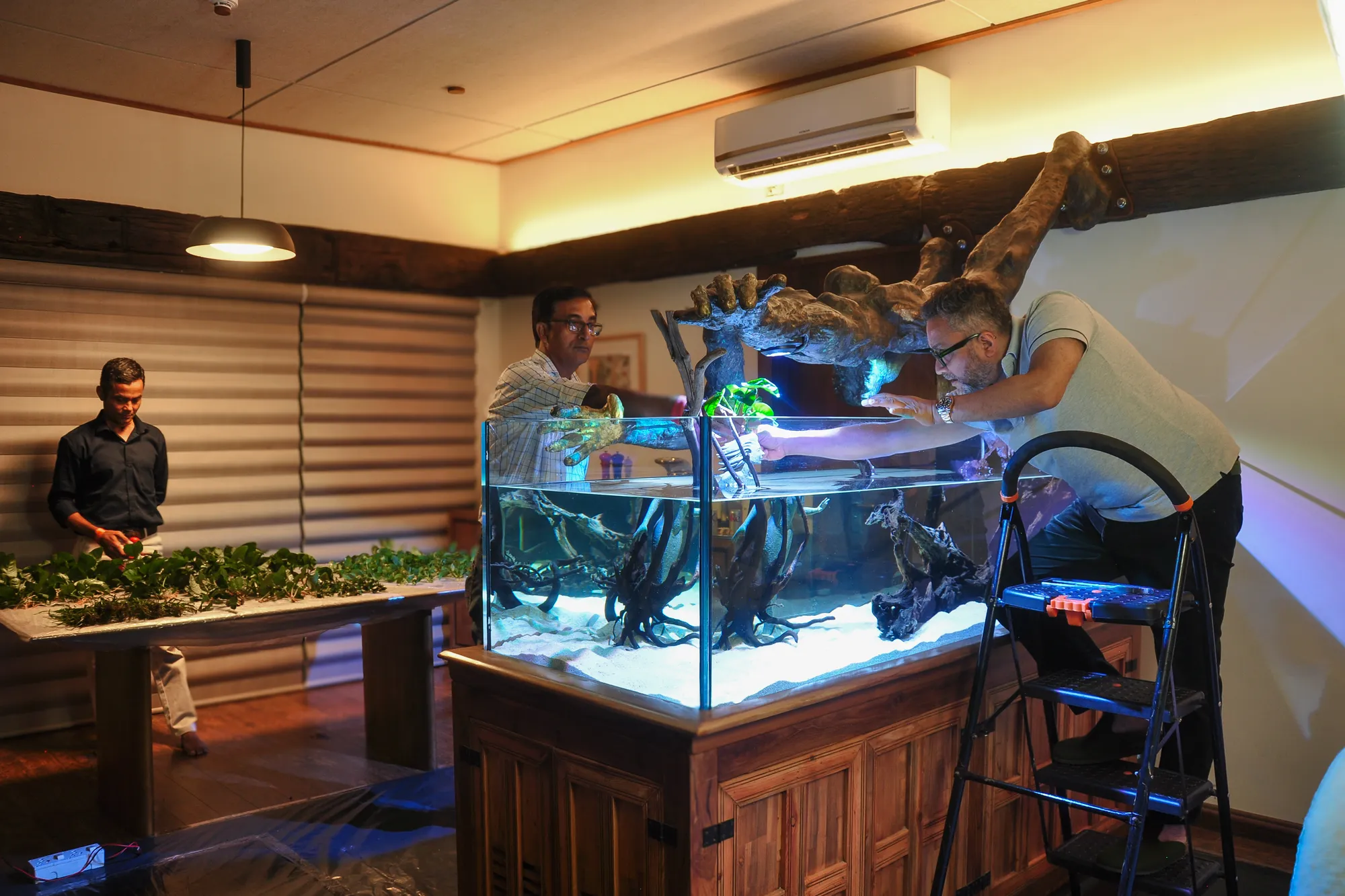 Three people planting a large new aquarium, placing driftwood and plants in freshly filled water